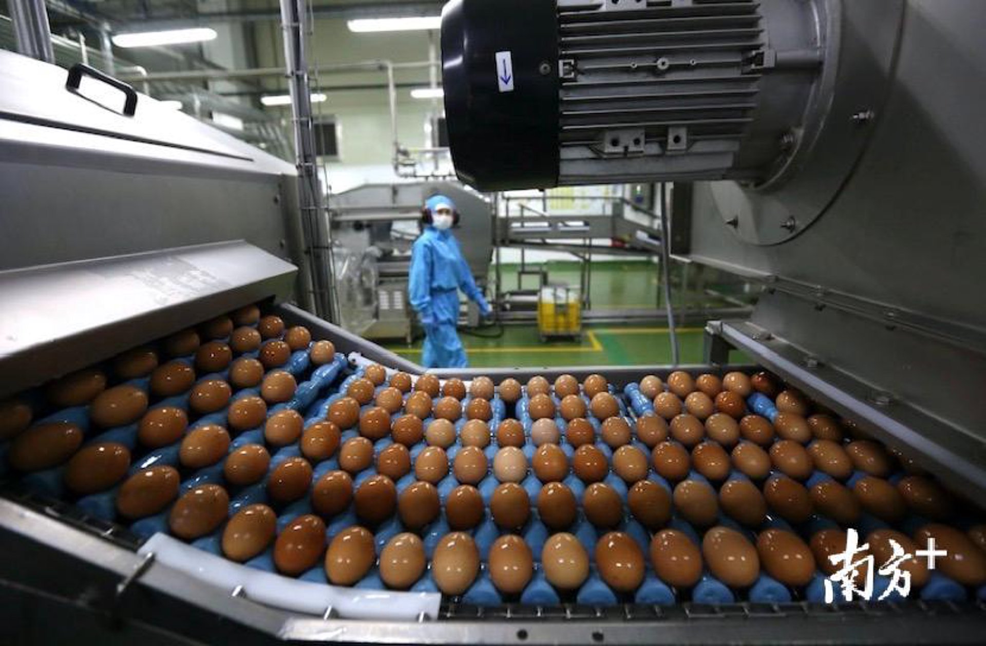 燕龙食品机械